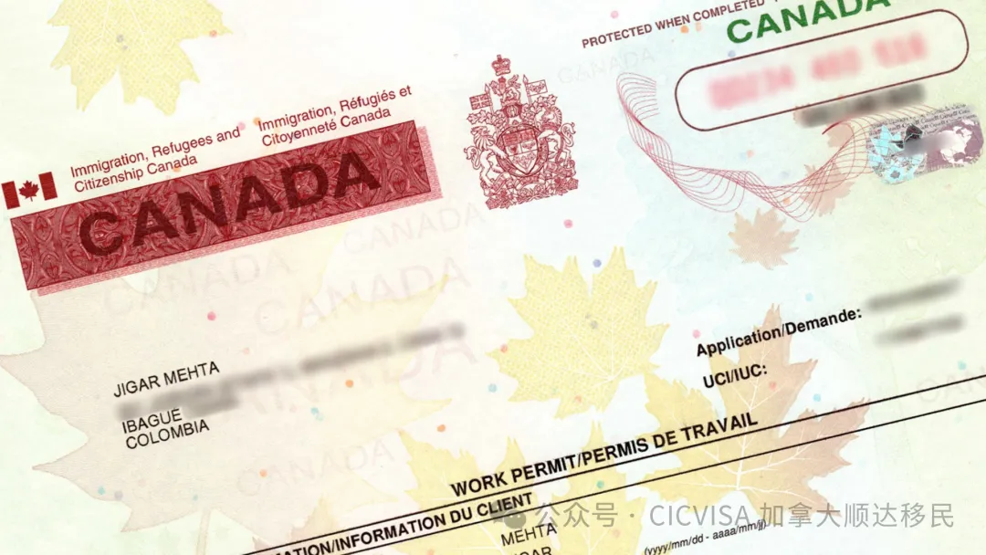 Altec Insights | [Q&A] Six Common Questions about Canadian Work Permit